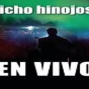 Le texte musical COMO TE VA MI AMOR de NICHO HINOJOSA est également présent dans l'album Nicho... en el bar 2 (1997)