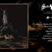 Le texte musical STONE WINGS de SWALLOW THE SUN est également présent dans l'album When a shadow is forced into the light (2019)