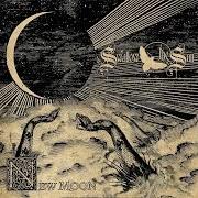 Le texte musical SLEEPLESS SWANS de SWALLOW THE SUN est également présent dans l'album New moon (2009)