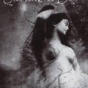 Le texte musical GHOST OF LAURA PALMER de SWALLOW THE SUN est également présent dans l'album Ghosts of loss (2005)
