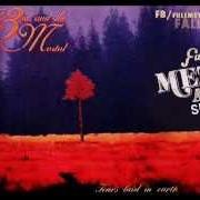 Le texte musical IN MIST SHROUDED de THE 3RD AND THE MORTAL est également présent dans l'album Tears laid to the earth (1994)