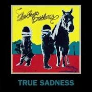 Le texte musical VICTIMS OF LIFE de THE AVETT BROTHERS est également présent dans l'album True sadness (2016)