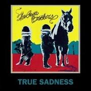 Le texte musical MAMA, I DON'T BELIEVE de THE AVETT BROTHERS est également présent dans l'album True sadness (2016)