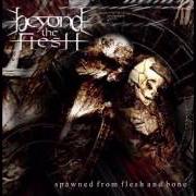 Le texte musical LOST IN ETERNITY de BEYOND THE FLESH est également présent dans l'album Spawned from flesh and bone (2001)