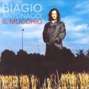 Le texte musical IN UNA STANZA QUASI ROSA de BIAGIO ANTONACCI est également présent dans l'album Il mucchio (1996)