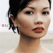 Le texte musical BEAUTIFUL COLLISION de BIC RUNGA est également présent dans l'album Beautiful collision (2002)
