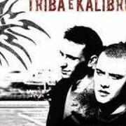 Le texte musical MUSA CIECA de TRIBA E KALIBRO est également présent dans l'album Colpisci (2007)