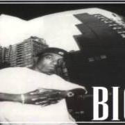 Le texte musical FURIOUS ANGER de BIG L est également présent dans l'album The archives 1996-2000 (2006)