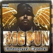 Le texte musical INTRO de BIG PUNISHER est également présent dans l'album Endangered species (2001)
