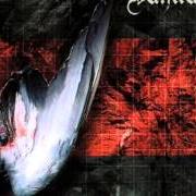 Le texte musical VOR DEN WORTEN de VANITAS est également présent dans l'album Der schatten einer existenz (2002)