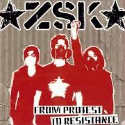 From protest to resistance From protest to resistance