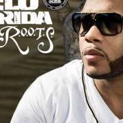 Le texte musical BIRTHDAY de FLO RIDA est également présent dans l'album Low (2007)