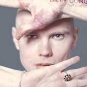 Le texte musical PRETTY, PRETTY STAR de BILLY CORGAN est également présent dans l'album The future embrace (2005)