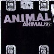 Le texte musical MARCADO A FUEGO de A.N.I.M.A.L. est également présent dans l'album Animal 6 (2001)