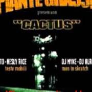 Le texte musical RISVEGLIO de PIANTE GRASSE est également présent dans l'album Cactus