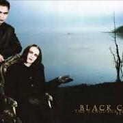 Le texte musical ...OF OCTOPUS AND SODOMIZING VIRGIN de BLACK COUNTESS est également présent dans l'album The language of flesh (2006)