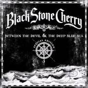 Black stone cherry