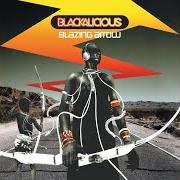 Le texte musical PARAGRAPH PRESIDENT de BLACKALICIOUS est également présent dans l'album Blazing arrow (2002)
