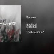 Le texte musical LOST IN TIME de BLACKBUD est également présent dans l'album The livewire ep (2005)