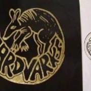 Le texte musical RISE RAW de AARDVARKS est également présent dans l'album Eyes (1994)