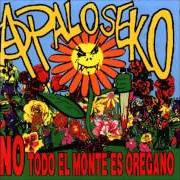 Le texte musical YA NO ENTIENDO NADA de A PALO SEKO est également présent dans l'album No todo el monte es oregano (1998)
