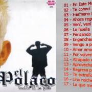 Le texte musical TE EXTRAÑO A TI de EL POLACO est également présent dans l'album Vuelve te lo pido (2006)