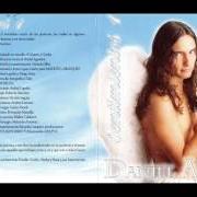 Le texte musical SE TERMINÓ EL AMOR de DANIEL AGOSTINI est également présent dans l'album Sentimientos 1 (2003)