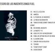 Le texte musical EL TESORO DE LOS INOCENTES de INDIO SOLARI est également présent dans l'album El tesoro de los inocentes (2004)
