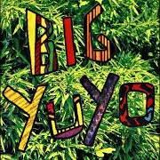Le texte musical HACÉ LO QUE QUIERAS de LOS PERICOS est également présent dans l'album Big yuyo (1992)