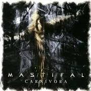 Carnivora