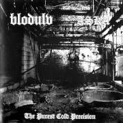 Le texte musical STANK de BLODULV est également présent dans l'album The purest cold precision (2004)