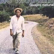 Le texte musical AMANECE EL NUEVO AÑO de POLO MONTANEZ est également présent dans l'album Guajiro natural