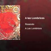Le texte musical SALA DE ESPERA de ROSENDO est également présent dans l'album ...A las lombrices (1987)