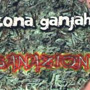 Le texte musical SOBREVIVIENTE de ZONA GANJAH est également présent dans l'album Sanazion (2007)