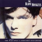 Le texte musical RISE ABOVE de THE BLOW MONKEYS est également présent dans l'album She was only a grocer's daughter (2014)