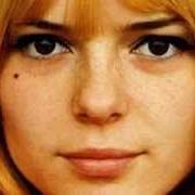 Le texte musical CEUX QUI AIMENT de FRANCE GALL est également présent dans l'album Tout pour la musique (1981)