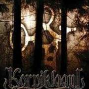 Le texte musical HENGITTÖMILTÄ HENGILTÄ (FROM THE DEAD PEOPLE'S SPIRIT) de KORPIKLAANI est également présent dans l'album Spirit of the forest (2003)