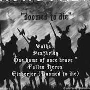 Le texte musical FALLEN HEROES de NACHTFALKE est également présent dans l'album Doomed to die (2002)