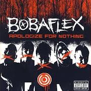 Le texte musical BETTER THAN ME de BOBAFLEX est également présent dans l'album Apologize for nothing (2005)