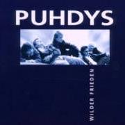 Le texte musical DU HAST SCHULD de PUHDYS est également présent dans l'album Wilder frieden (1999)