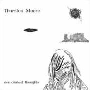 Le texte musical JANUARY de THURSTON MOORE est également présent dans l'album Demolished thoughts (2011)