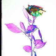 Those who wander Those who wander