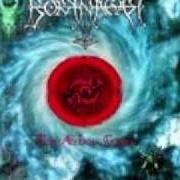 Le texte musical OCEANS RISE de BORKNAGAR est également présent dans l'album The archaic course (1999)