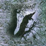 Le texte musical OM HUNDREDEAARERALTING GLEMT de BORKNAGAR est également présent dans l'album The olden domain (1997)