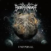 Le texte musical FLESHFLOWER de BORKNAGAR est également présent dans l'album Universal (2010)