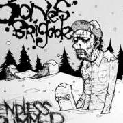 Le texte musical ROCK TO FAKIE de BONES BRIGADE est également présent dans l'album Endless bummer (2006)