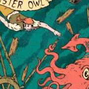 Le texte musical SCREW THE STANDARD de MISTER OWL est également présent dans l'album All my friends (2008)