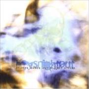 Le texte musical A TORRID LOVE AFFAIR de BOYS NIGHT OUT est également présent dans l'album Broken bones and bloody kisses (2002)