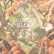 Le texte musical SABER-TOOTH & BONE de SURFER BLOOD est également présent dans l'album 1000 palms (2015)