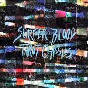 Le texte musical DRINKING PROBLEM (SPECULATOR REMIX) de SURFER BLOOD est également présent dans l'album Tarot classics (2011)